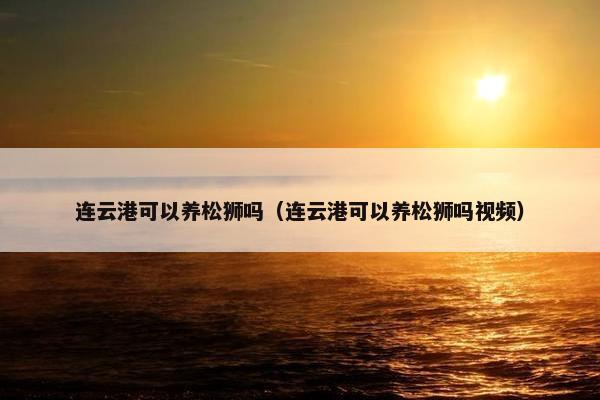 连云港可以养松狮吗（连云港可以养松狮吗视频）