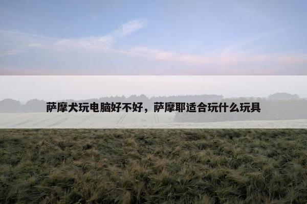萨摩犬玩电脑好不好，萨摩耶适合玩什么玩具