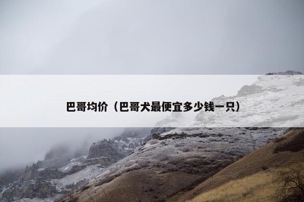 巴哥均价（巴哥犬最便宜多少钱一只）
