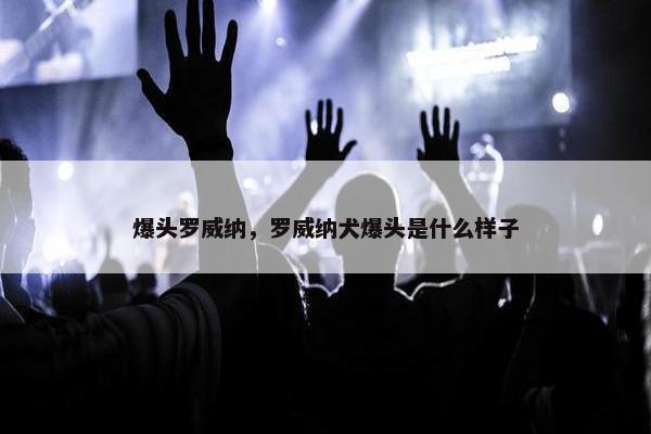 爆头罗威纳，罗威纳犬爆头是什么样子