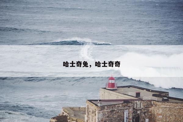 哈士奇兔，哈士奇奇