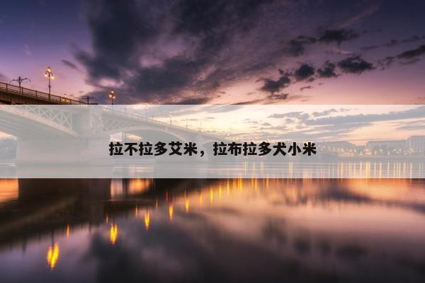 拉不拉多艾米，拉布拉多犬小米