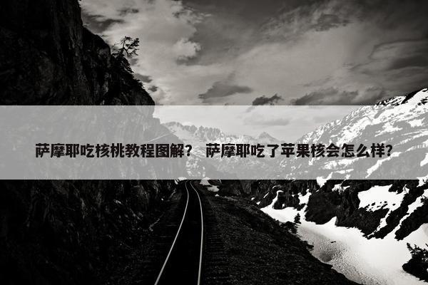 萨摩耶吃核桃教程图解？ 萨摩耶吃了苹果核会怎么样？
