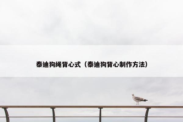 泰迪狗绳背心式（泰迪狗背心制作方法）
