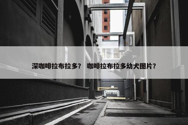 深咖啡拉布拉多？ 咖啡拉布拉多幼犬图片？