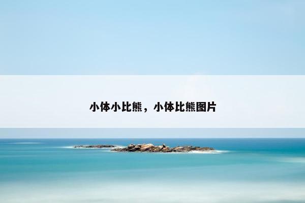 小体小比熊，小体比熊图片