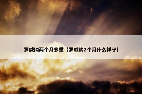 罗威纳 第11页