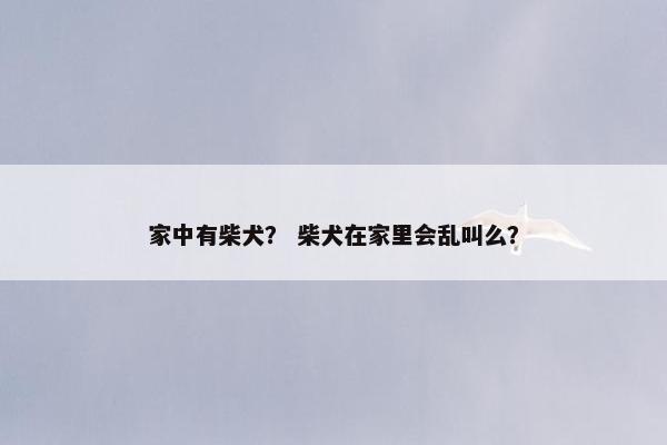 家中有柴犬？ 柴犬在家里会乱叫么？