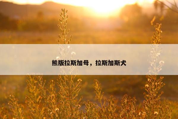熊版拉斯加母，拉斯加斯犬