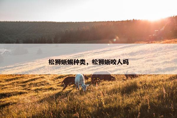 松狮蜥蜴种类，松狮蜥咬人吗