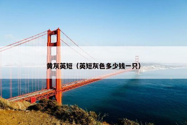 黄灰英短（英短灰色多少钱一只）