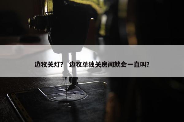 边牧关灯？ 边牧单独关房间就会一直叫？
