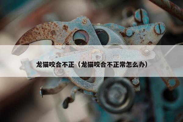 龙猫咬合不正（龙猫咬合不正常怎么办）