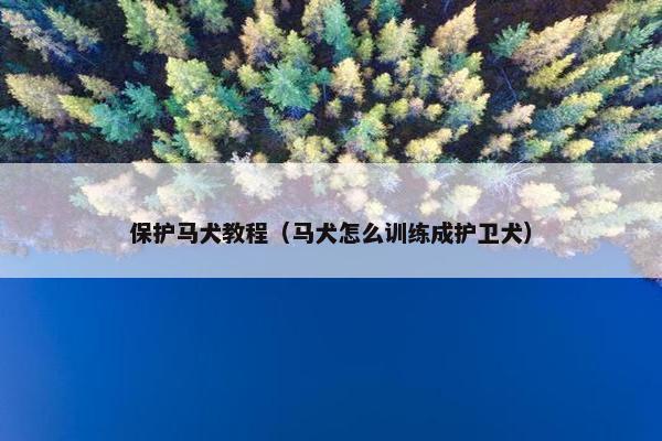 保护马犬教程（马犬怎么训练成护卫犬）