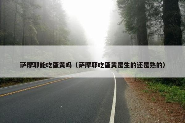 萨摩耶能吃蛋黄吗（萨摩耶吃蛋黄是生的还是熟的）