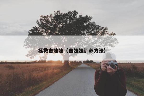 拯救吉娃娃（吉娃娃驯养方法）