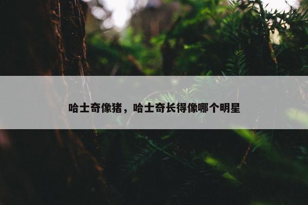 哈士奇像猪，哈士奇长得像哪个明星