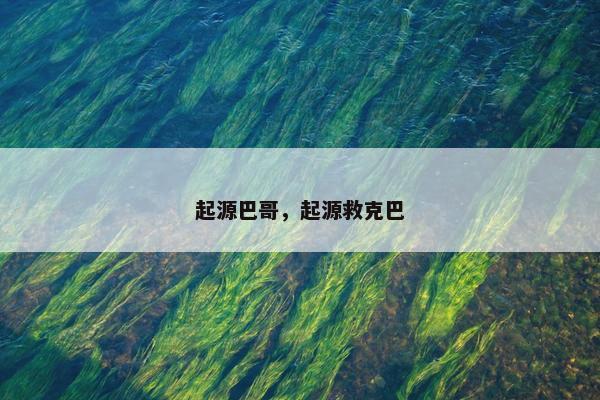 起源巴哥，起源救克巴