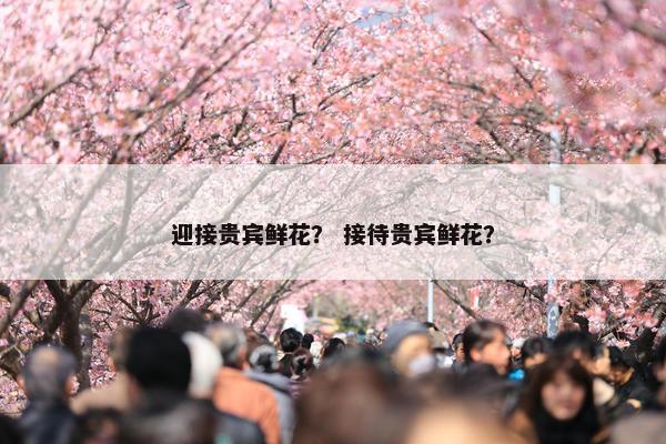 迎接贵宾鲜花？ 接待贵宾鲜花？
