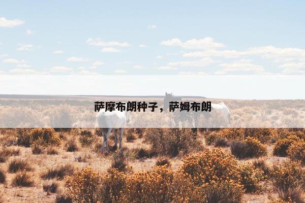 萨摩布朗种子，萨姆布朗