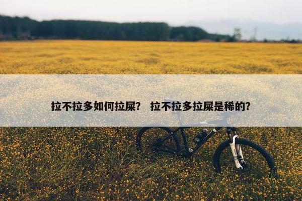 拉不拉多如何拉屎？ 拉不拉多拉屎是稀的？