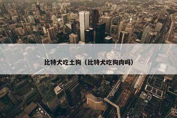 比特犬吃土狗（比特犬吃狗肉吗）