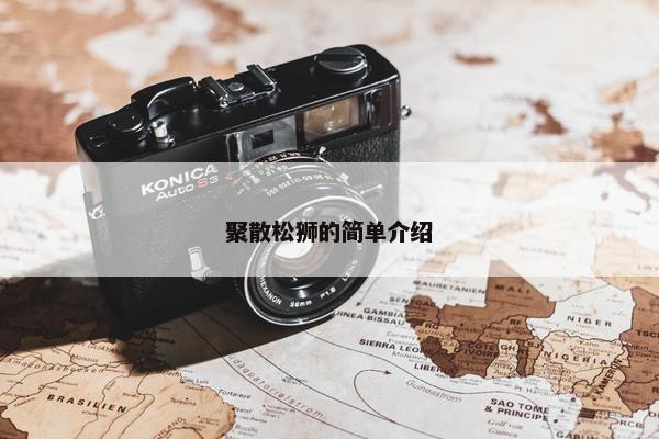 聚散松狮的简单介绍