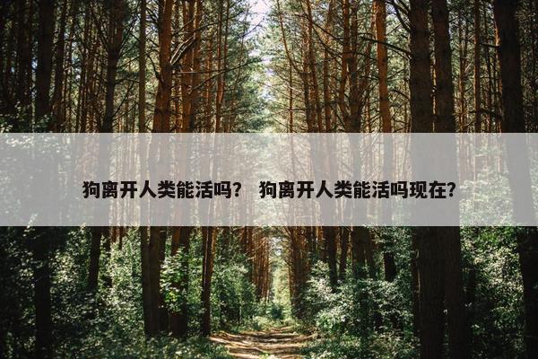 狗离开人类能活吗？ 狗离开人类能活吗现在？