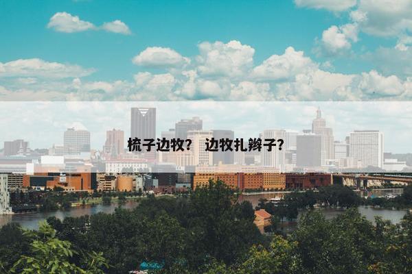 梳子边牧？ 边牧扎辫子？