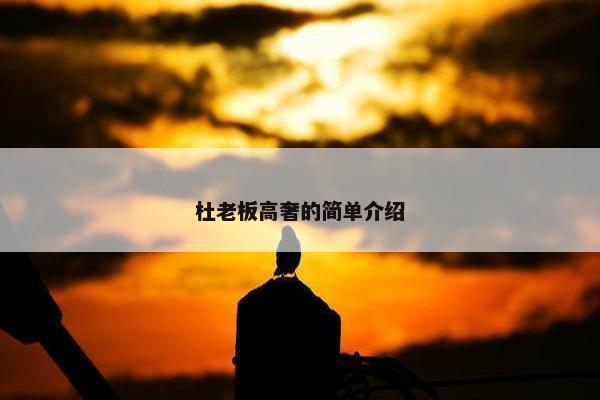 杜老板高奢的简单介绍