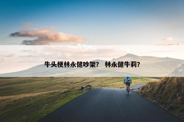 牛头梗林永健吵架？ 林永健牛莉？