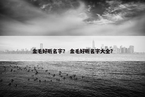 金毛好听名字？ 金毛好听名字大全？