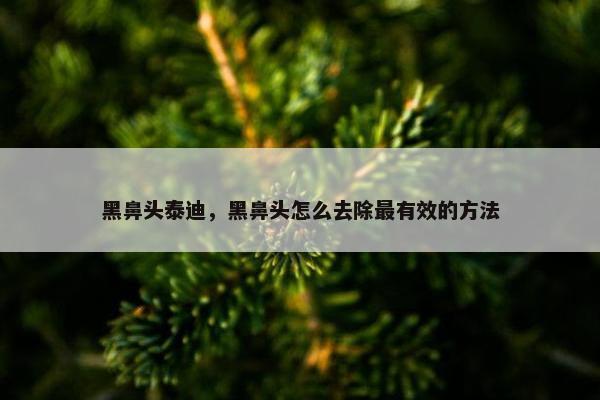 黑鼻头泰迪，黑鼻头怎么去除最有效的方法