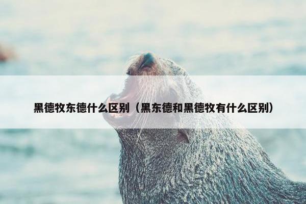 黑德牧东德什么区别（黑东德和黑德牧有什么区别）
