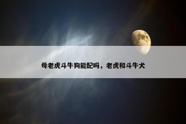 母老虎斗牛狗能配吗，老虎和斗牛犬