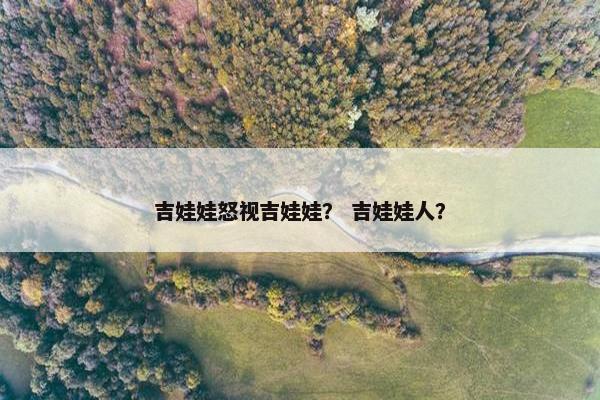 吉娃娃怒视吉娃娃？ 吉娃娃人？