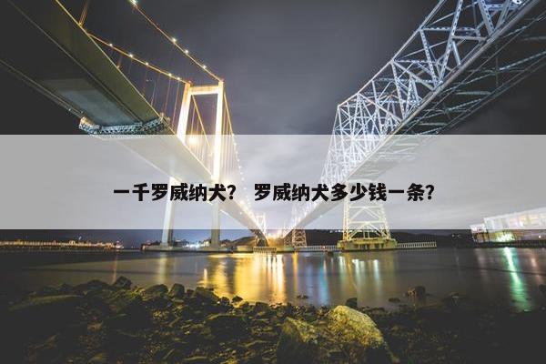 一千罗威纳犬？ 罗威纳犬多少钱一条？