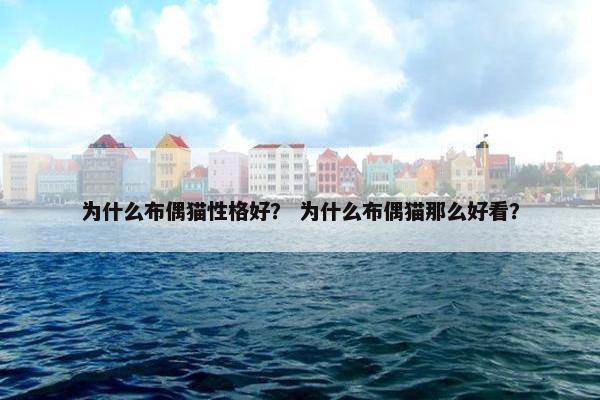 为什么布偶猫性格好？ 为什么布偶猫那么好看？
