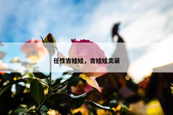 任性吉娃娃，吉娃娃卖萌