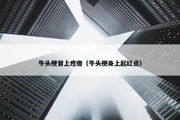 牛头梗背上疙瘩（牛头梗身上起红点）