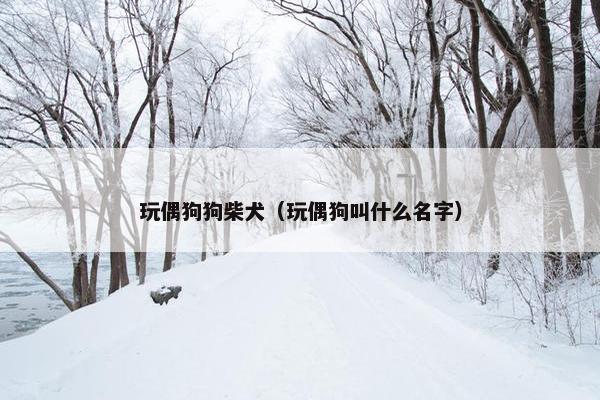 玩偶狗狗柴犬（玩偶狗叫什么名字）