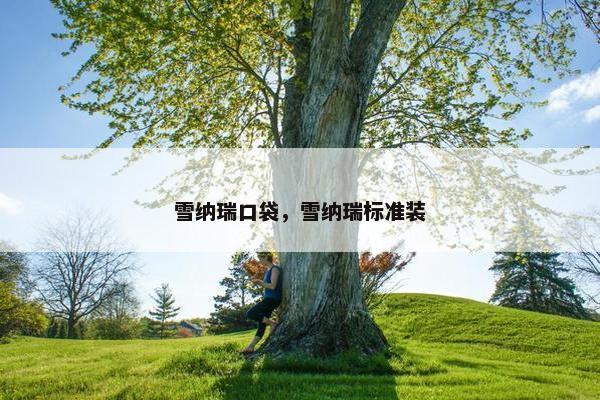 雪纳瑞口袋，雪纳瑞标准装