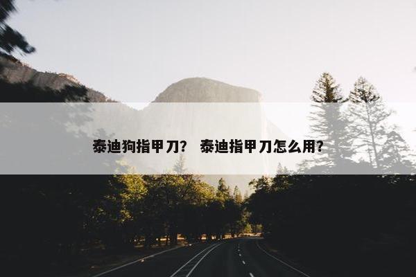 泰迪狗指甲刀？ 泰迪指甲刀怎么用？