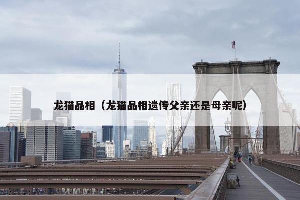龙猫品相（龙猫品相遗传父亲还是母亲呢）