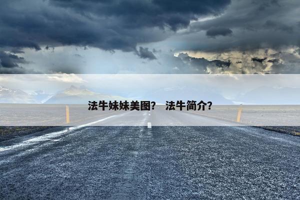 法牛 第9页