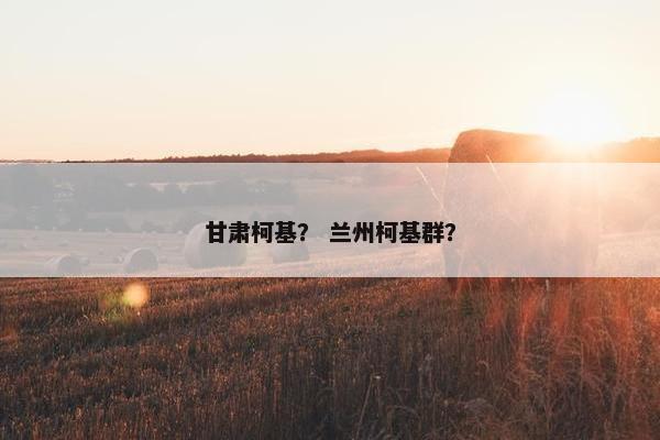 甘肃柯基？ 兰州柯基群？