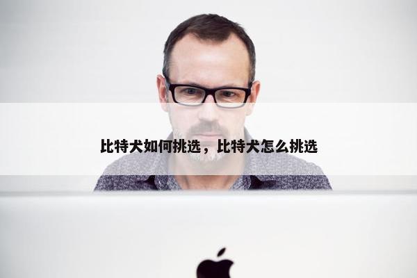 比特犬如何挑选，比特犬怎么挑选