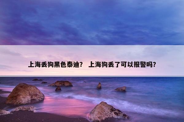 上海丢狗黑色泰迪？ 上海狗丢了可以报警吗？