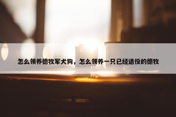 怎么领养德牧军犬狗，怎么领养一只已经退役的德牧