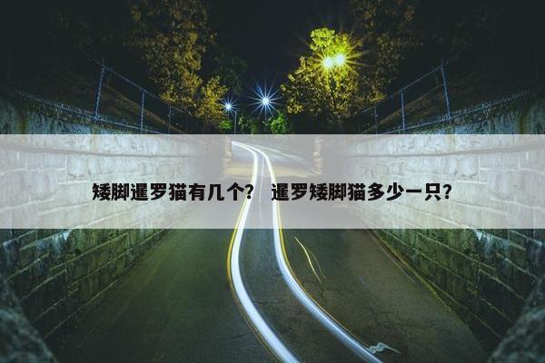 品种 第3页